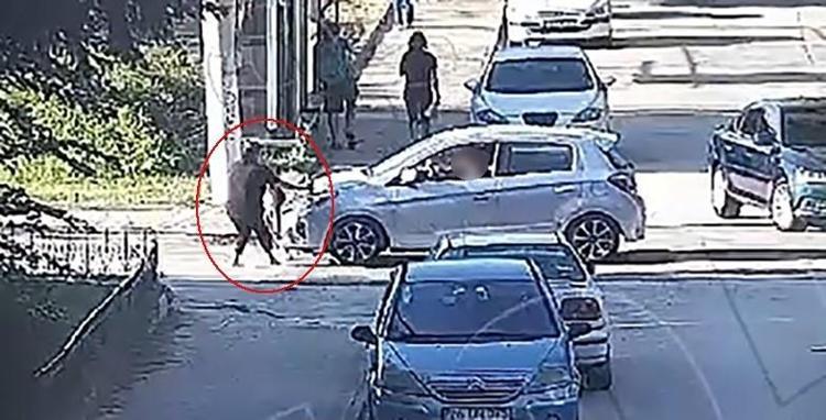 3 yaşındaki Elif Mavinin ölümü kahretti Ev hapsi kararı aileyi isyan ettirdi