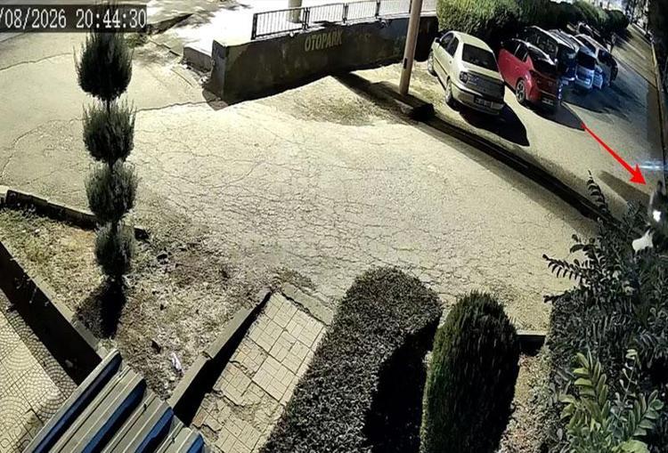 ‘ÇOCUĞUN YAŞADIĞI TRAVMA ÖMÜR BOYU SÜREBİLİR’