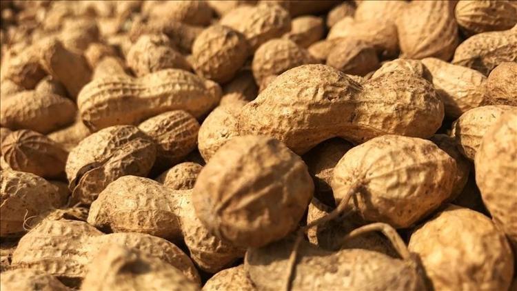 POTASYUM VE SODYUM DENGESİ ÖNE ÇIKIYOR