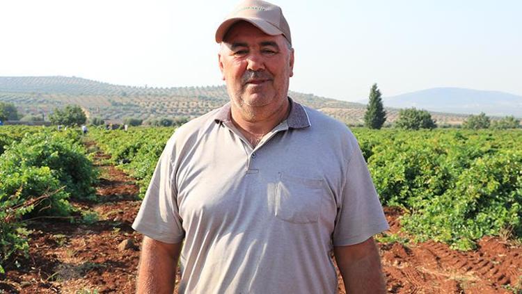 Kilis’te tarlalar doldu taştı: Siyah elmasın hasadı bereketle başladı