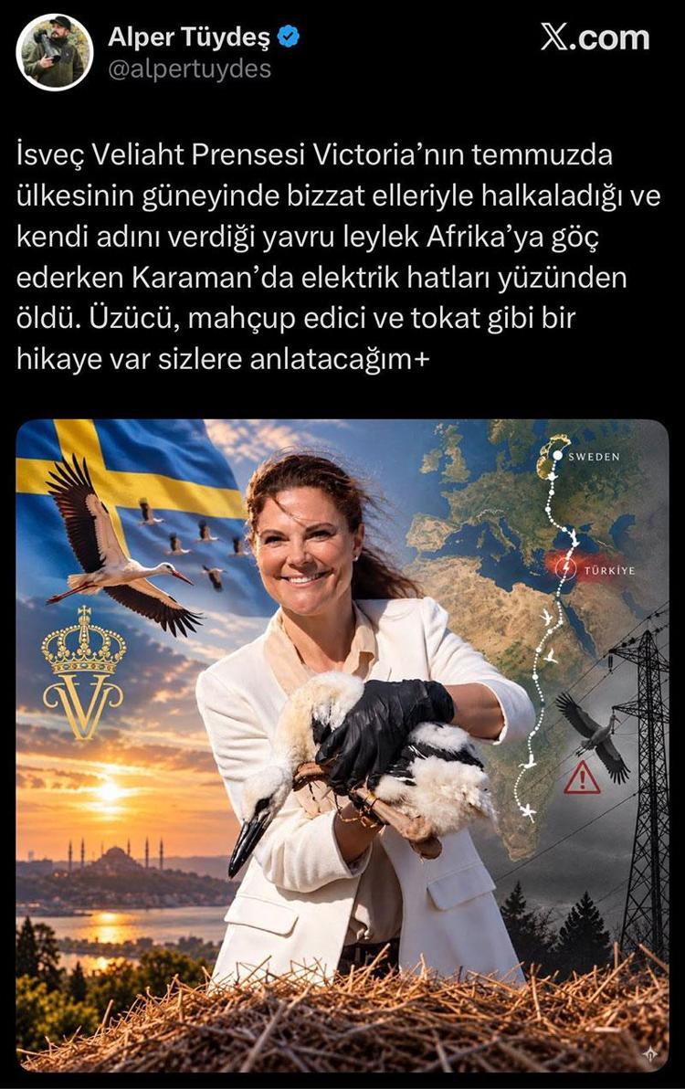 İsveç Veliaht Prensesi Victoria’nın adını verdiği leylek, Karaman’da ölü bulundu