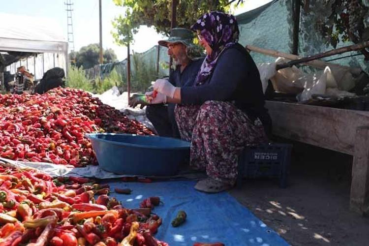 ‘DİREKT ÜRETİCİDEN ALSINLAR’