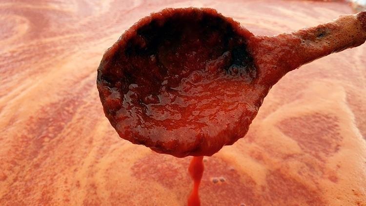 Her gün yemeklere kaşık kaşık koyuyoruz 3 ay boyunca tüketenlerin beyin yapısında değişiklik görüldü