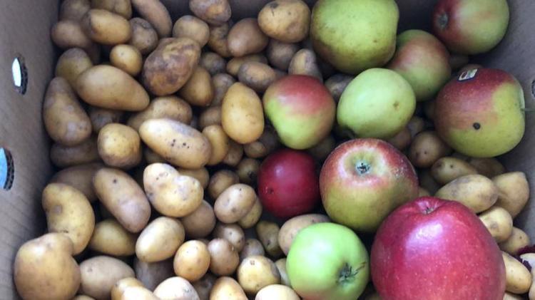Mutfaktaki gizli kurtarıcı: Patates sepetine 1 tane eklemeniz yetiyor, yeşermiyor ve aylarca filizlenmiyor