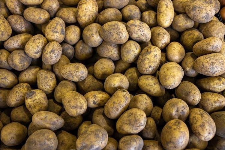 Mutfaktaki gizli kurtarıcı: Patates sepetine 1 tane eklemeniz yetiyor, yeşermiyor ve aylarca filizlenmiyor