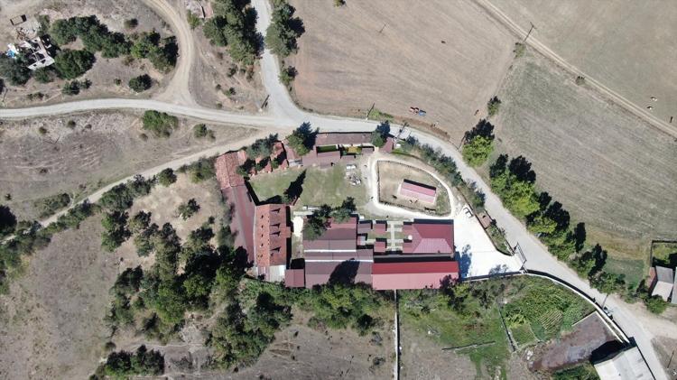 Tek tek topluyor günlerce kazanlarda kaynatıyorlar Kastamonu’da geleneksel kış hazırlığı başladı: Kan şekerini terazi gibi dengeliyor
