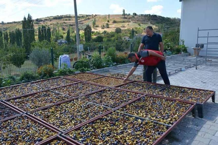 185 TONLUK REKOLTEYİ KAPAMA BAHÇELERLE ARTIRACAĞIZ