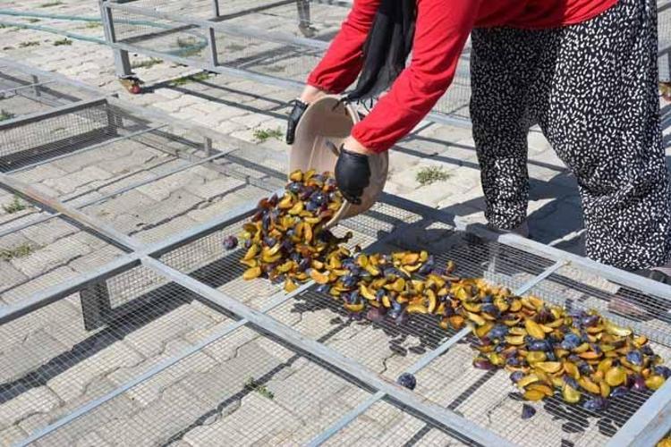İlaçsız ve yüzde yüz doğal Tarihi 1886 yılına dayanıyor: Kadınların elinde kurutulup dünya sofralarına gönderiliyor...