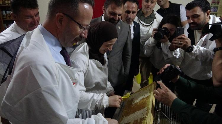 Ardahanın coğrafi tescilli lezzetinde son hasat yapıldı Kış aylarında şifa dağıtacak