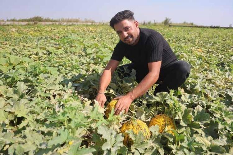 Tarlada 10 TL, manavda 40 TL Yağışlar yüzünden gecikti, herkes aynı ürünü ekti...