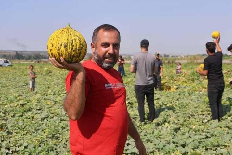 Tarlada 10 TL, manavda 40 TL Yağışlar yüzünden gecikti, herkes aynı ürünü ekti...