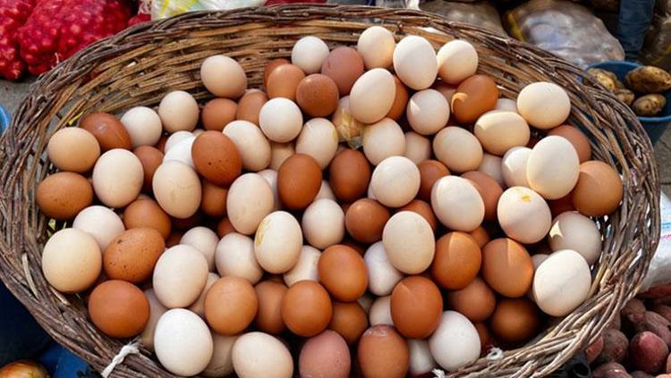 Büyük boy yumurta daha mı kaliteli Gerçek sonunda ortaya çıktı: XL yumurta alırken iki kere düşünün