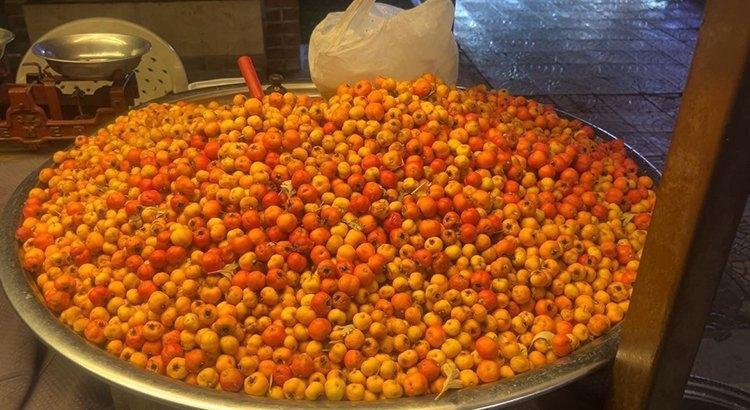 Dağda bedavaya yetişiyor toplayan zengin oluyor Tezgâhta gören inanamadı...