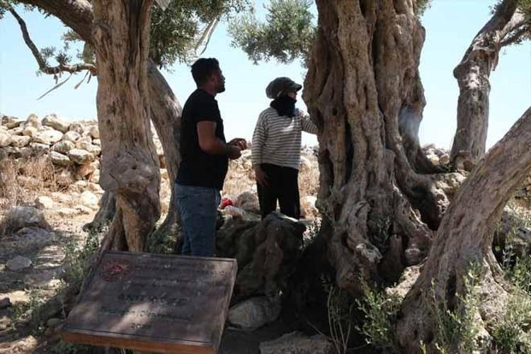 Bir zamanlar suyu bile yoktu: Çorak araziler şimdilerde altın değerinde gelir kapısına dönüştü