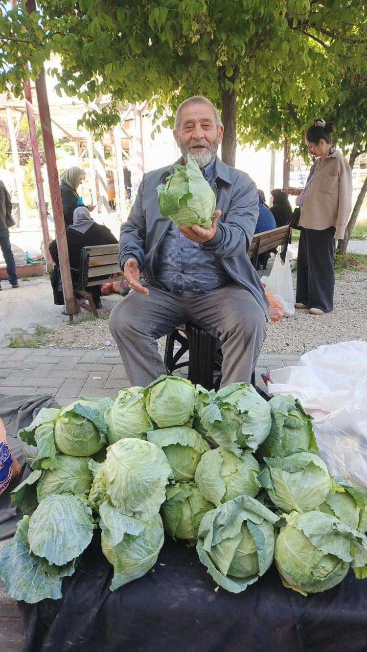 Giresunda fındık yetişmeyen tek ilçede altın değerinde hasat başladı Alucra kelemi tescilleniyor