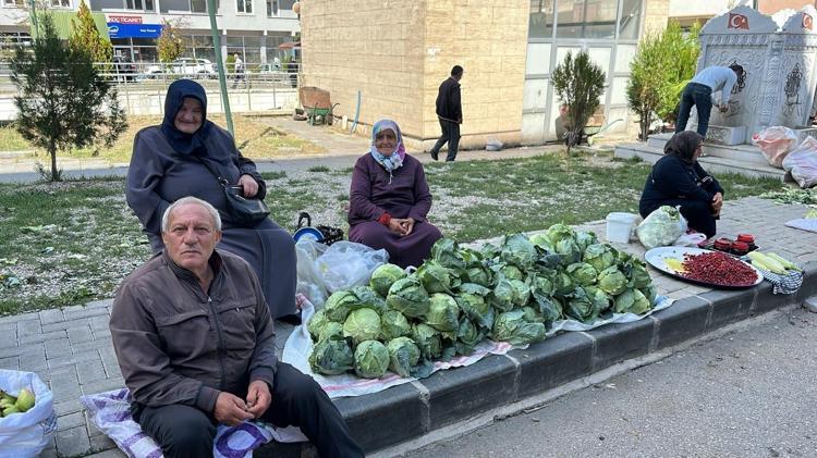 Giresunda fındık yetişmeyen tek ilçede altın değerinde hasat başladı Alucra kelemi tescilleniyor