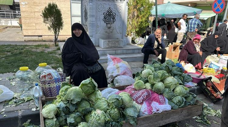 Giresunda fındık yetişmeyen tek ilçede altın değerinde hasat başladı Alucra kelemi tescilleniyor