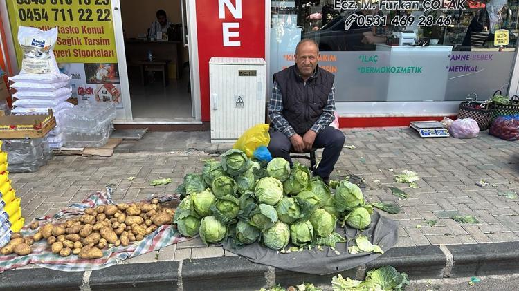 Giresunda fındık yetişmeyen tek ilçede altın değerinde hasat başladı Alucra kelemi tescilleniyor