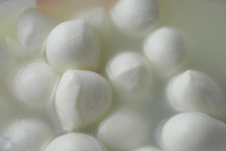 Sodyumu düşük, proteini tavan yapan peynirler belli oldu İşte vücuda ilaç gibi gelen 9 peynir