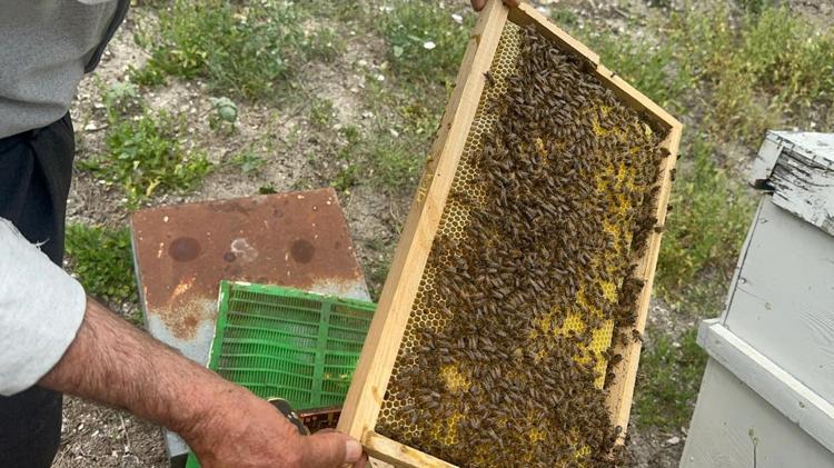 Bursa’dan İngiltere ve Avusturya’ya uzanan lezzet yolculuğu: Tam 20 yıldır Avrupanın ağzını tatlandırıyor