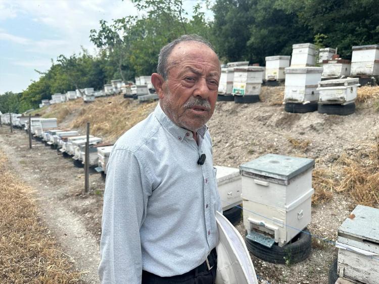 Bursa’dan İngiltere ve Avusturya’ya uzanan lezzet yolculuğu: Tam 20 yıldır Avrupanın ağzını tatlandırıyor