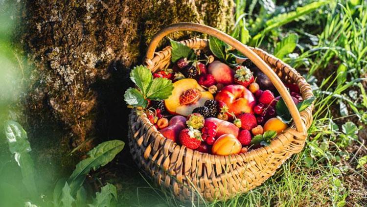 Dünyanın en iyi 100 meyvesi açıklandı! Listede Türkiye de var