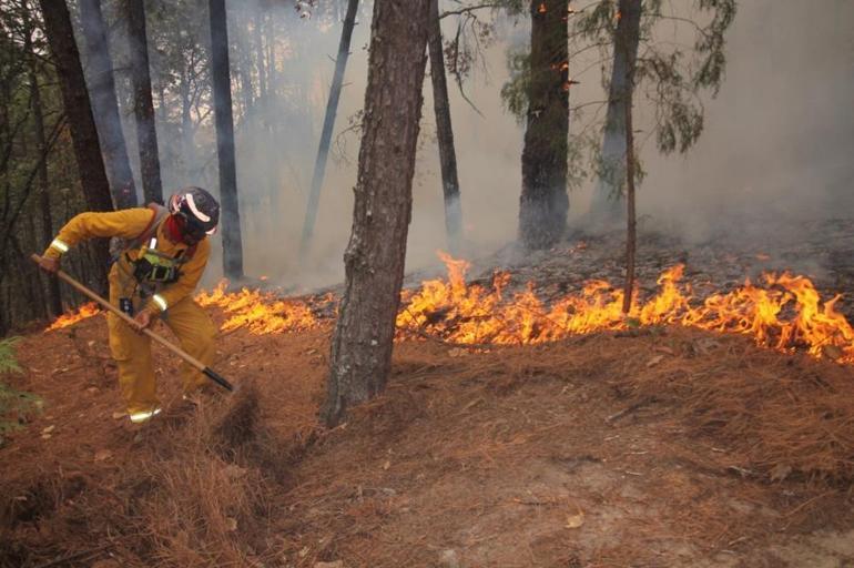 Resmen küle döndü Meksika’da son 24 saatte 39 orman yangını çıktı