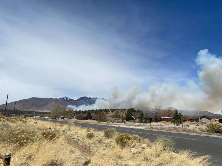 Arizonada orman yangını giderek yayılıyor