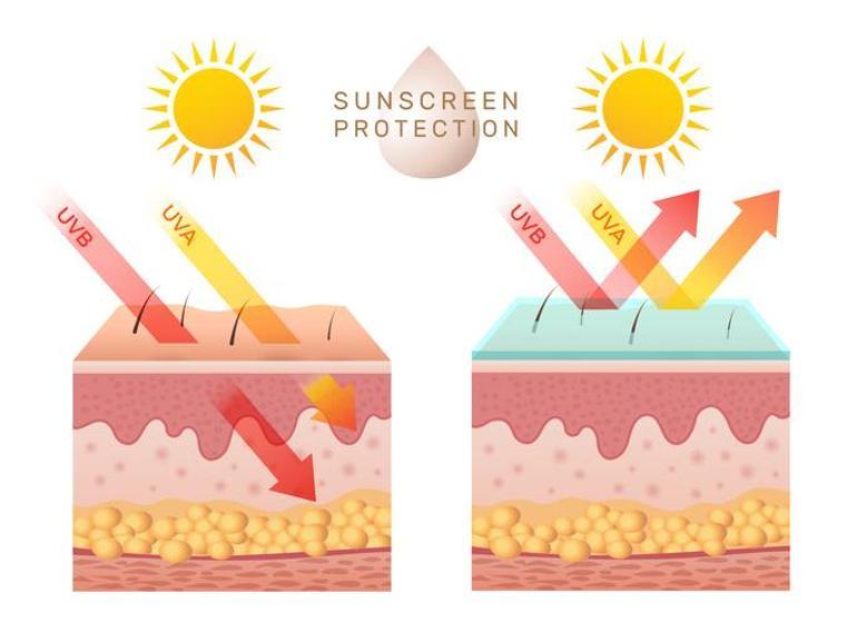 Cilt tipinize uygun güneş koruyucu nasıl seçilir
