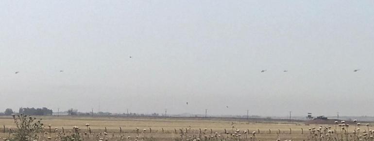 Suriye hattında yoğun helikopter hareketliliği İlk kez sınır hattına bu kadar yakın uçtular