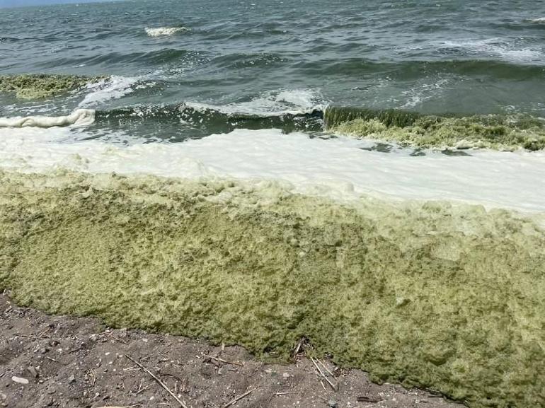 Siyanobakteri artışı sonrası İznik Gölüne girmek yasaklandı