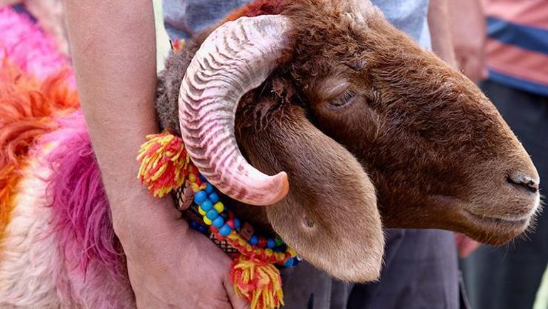 Kurban Bayramı’na kaç gün kaldı Kurban Bayramı tatili kaç gün olacak Birleşecek mi, 9 gün olur mu