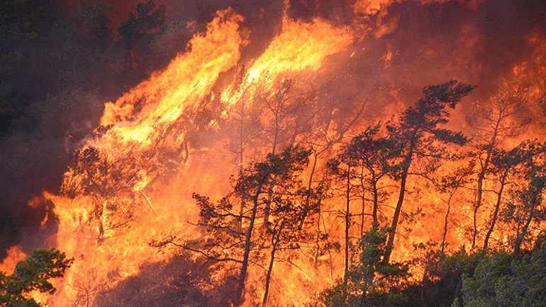 Marmaristeki orman yangınında son durum Yangının çıkış nedeni sabotaj mı