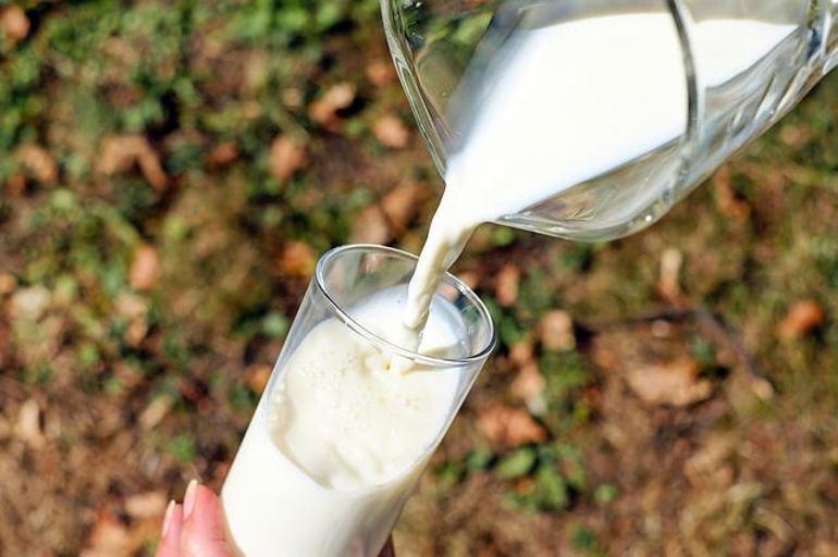 Hollandadaki çiftlik hayvanlarının etinde, sütünde ve kanında plastik parçacıkları bulundu
