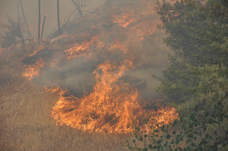 Datça ve Çeşmede orman yangını Tatilcilerin dönüşlerine izin verilmiyor