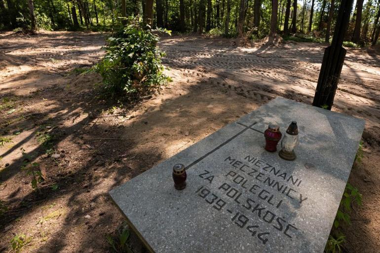 8 bin Nazi kurbanının külleri Polonyada bulundu