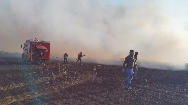 Buğday tarlasında yangın; 40 dönüm ekili alan yandı