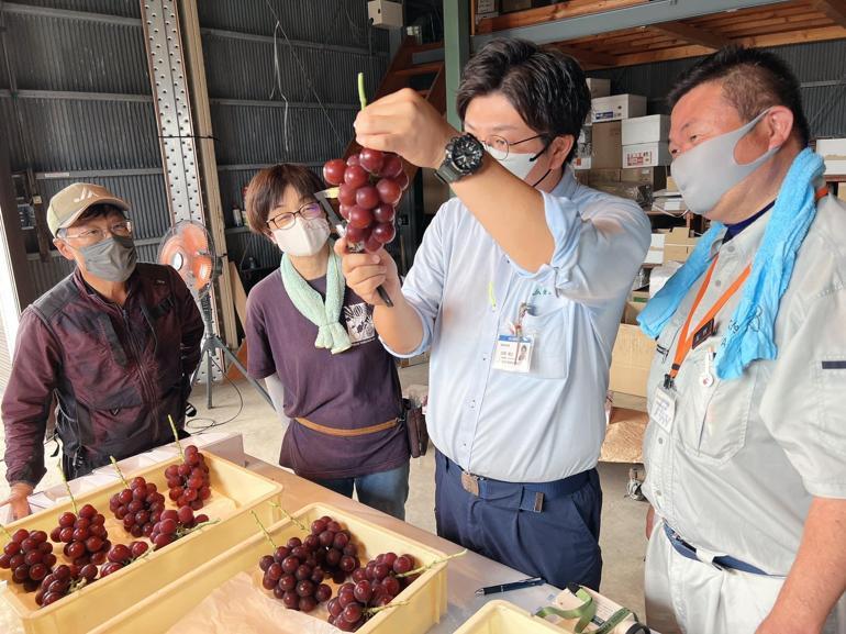 Japonya’da özel üretim salkım üzüm, 10 bin 800 dolara satıldı