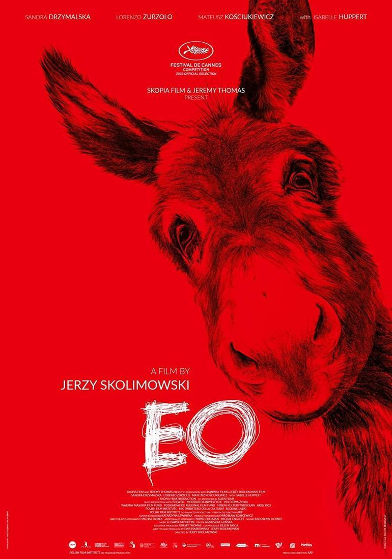 ‘EO’: Bresson’u mezarında ters döndürecek bir film