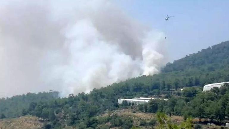 İzmir, Mersin ve Hatayda peş peşe orman yangınları