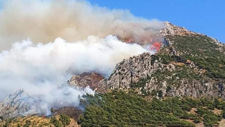 İzmir, Mersin ve Hatayda peş peşe orman yangınları