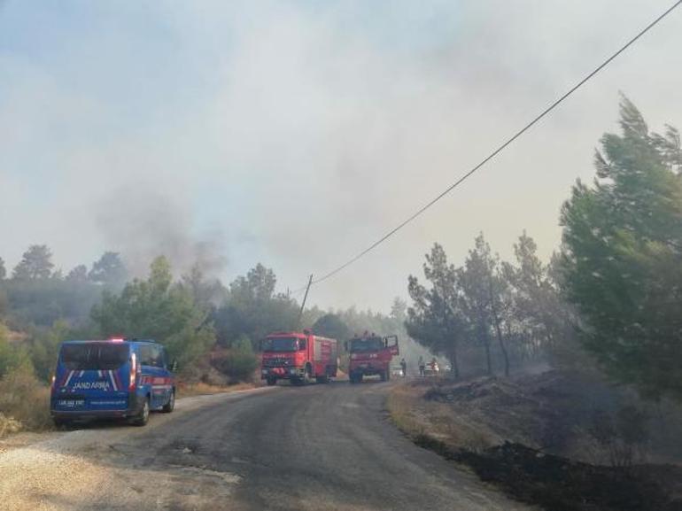 Manisada orman yangını Ekipler anında müdahale etti