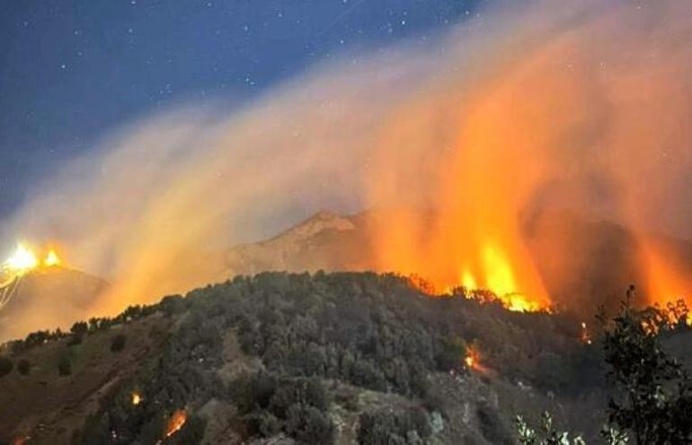 Munzur Vadisi Milli Parkı’ndaki yangın kontrol altına alındı