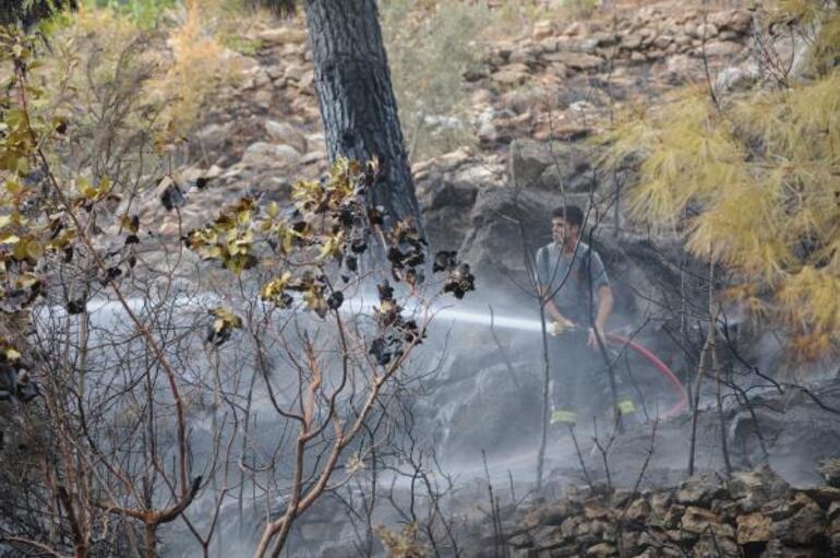 Antalya’da 5 hektar orman yandı