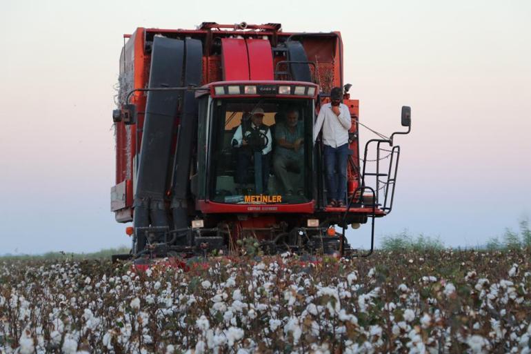Bakan Kirişci: Türkiye, dünya pamuk üretimde 7.sırada