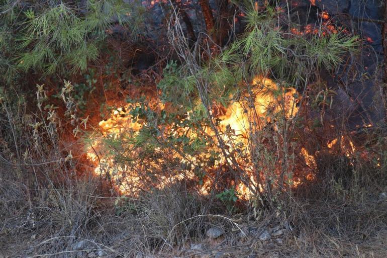 Alanya’daki ikinci orman yangını büyümeden söndürüldü