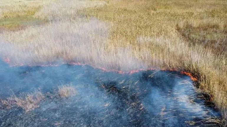 Eber Gölü’nde yangın Dumanlar iki ilçeden göründü