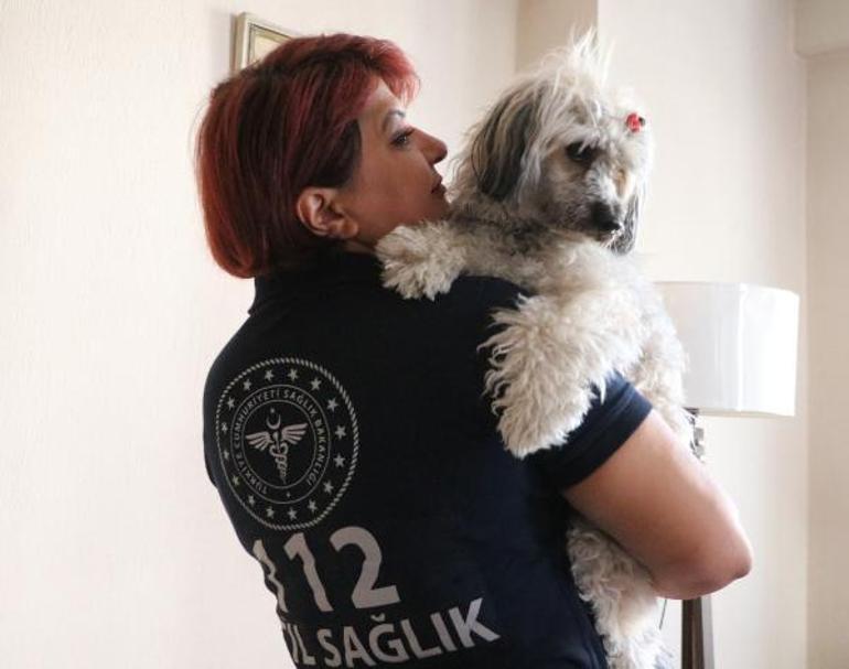 Ambulans hemşiresi, karavanla kaza yapan Çekyalı çiftin köpeğine sahip çıktı