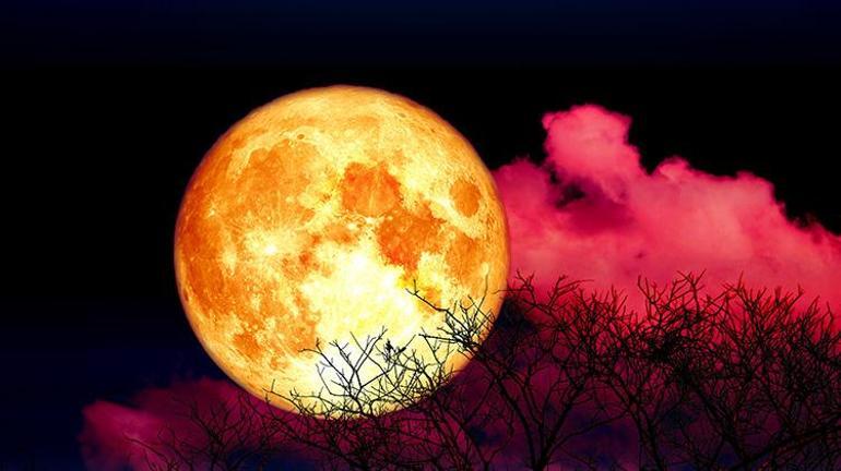 Ay tutulması ne zaman olacak Kasım 2022 Ay tutulması Türkiye’den izlenecek mi