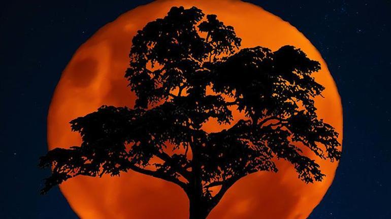 Ay tutulması ne zaman olacak Kasım 2022 Ay tutulması Türkiye’den izlenecek mi